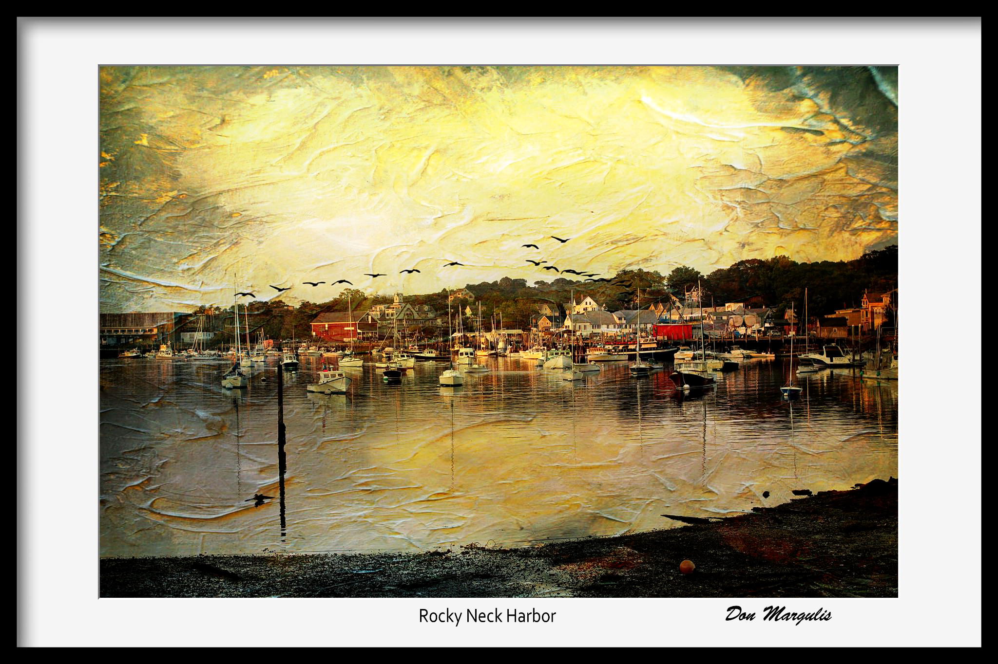 Rocky Neck Harbor 